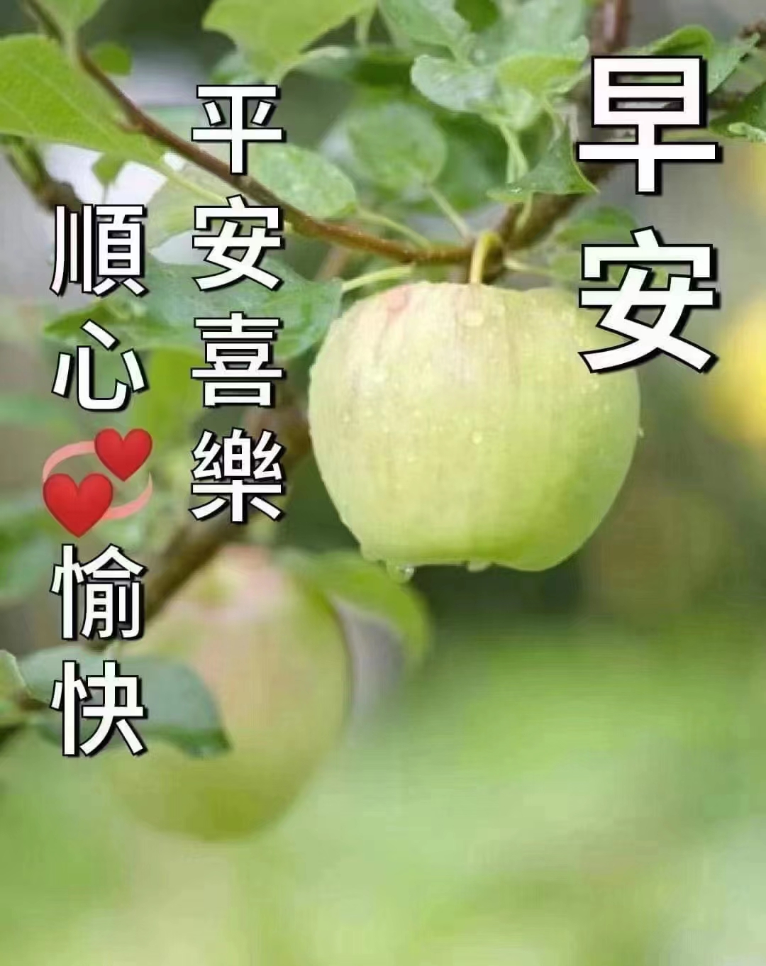 ΢ͼƬ_20221005161934.jpg